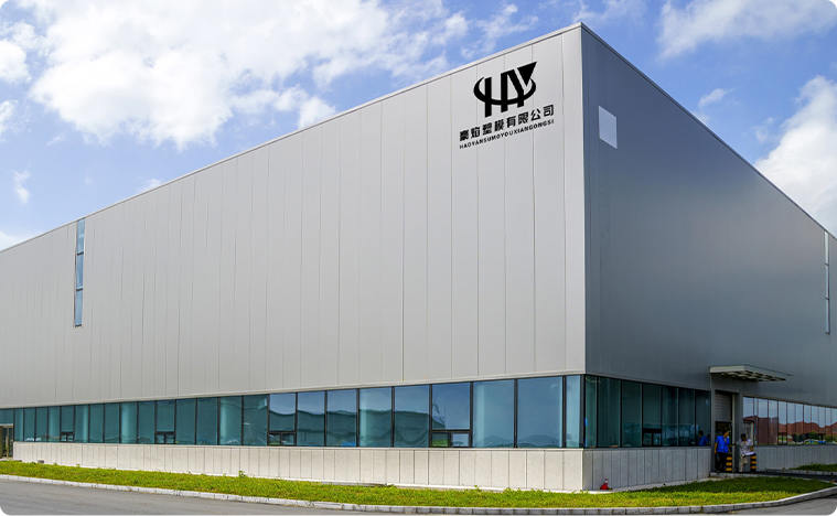 Taizhou Haoyan Plastic Mould Co., Ltd.